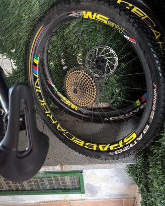 Spacecarbon cerchi mtb anteriore e posteriore