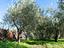 Immagine 11