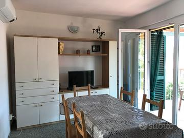 Elba,Procchio a 90m dalla spiaggia