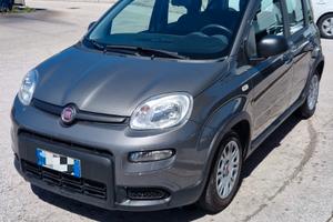 Fiat Panda  1.0 Firefly hybrid 47.000 km