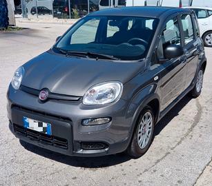 Fiat Panda  1.0 Firefly hybrid 47.000 km