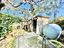 Immagine 6