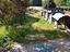 Immagine 27