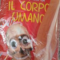 Divertiti e conosci il corpo umano corriere della