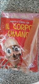 Divertiti e conosci il corpo umano corriere della