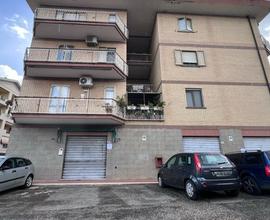 Negozio Civita Castellana [Cod. rif 3153001ACG]