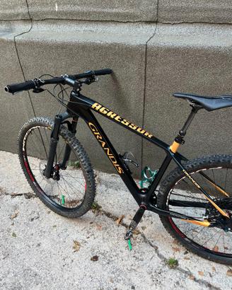 Mtb Grandis Aggressor 29" taglia M