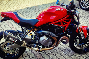 Ducati Monster