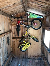 Biciclette bimbi