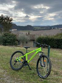 ROCKRIDER ST 100