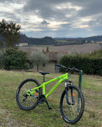 ROCKRIDER ST 100