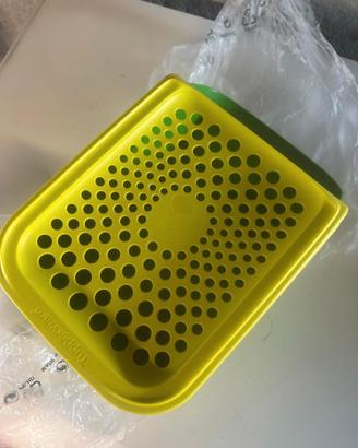 Tupperware contenitore salvafreschezza per cipolle