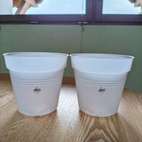 2 Vasi Elho trasparenti diam.15 orchidee