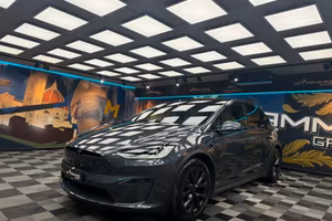 Tesla Model X LONG RANGE (734)