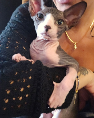 Solo amanti di questa razza