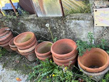 Vasi in terracotta