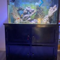 Acquario marino e dolce