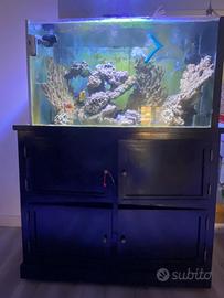 Acquario marino e dolce