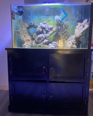 Acquario marino e dolce