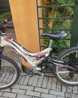 bicicletta bambino ruota 24