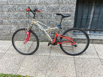 bicicletta 