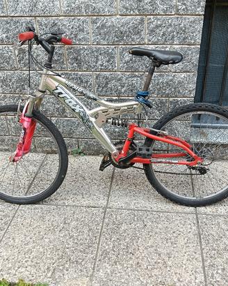 bicicletta 