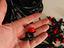Immagine 5