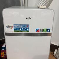 2 pinguini. de longhi e argo