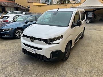 Citroen Berlingo BlueHDi 100 S&S Van M
