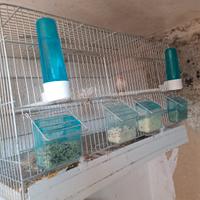 3 gabbie canarini completi