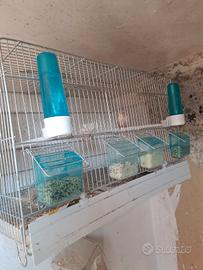 3 gabbie canarini completi