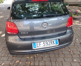 Polo
