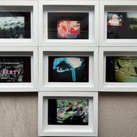 Collezione opere di Mario Schifano