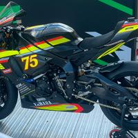 Yamaha r1 carene in carbonio