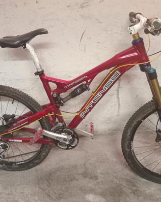 Bicicletta MTB intense