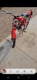 moto guzzi cardellino 