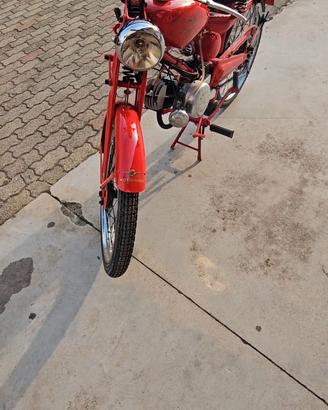 moto guzzi cardellino 