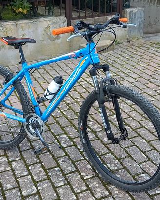 bicicletta