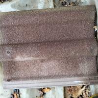 Tegole Wierer doppia romana