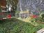 Immagine 26