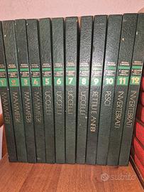 Enciclopedia Rizzoli