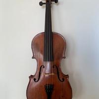 Viola 800