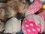 Immagine 1