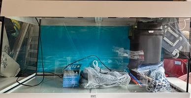 Acquario