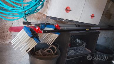 Attrezzature per olive 