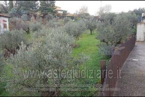 Terreno Agricolo Gualdo Cattaneo [A4315535]