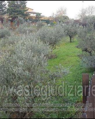 Terreno Agricolo Gualdo Cattaneo [A4315535]