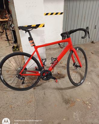 Rose pro SL 