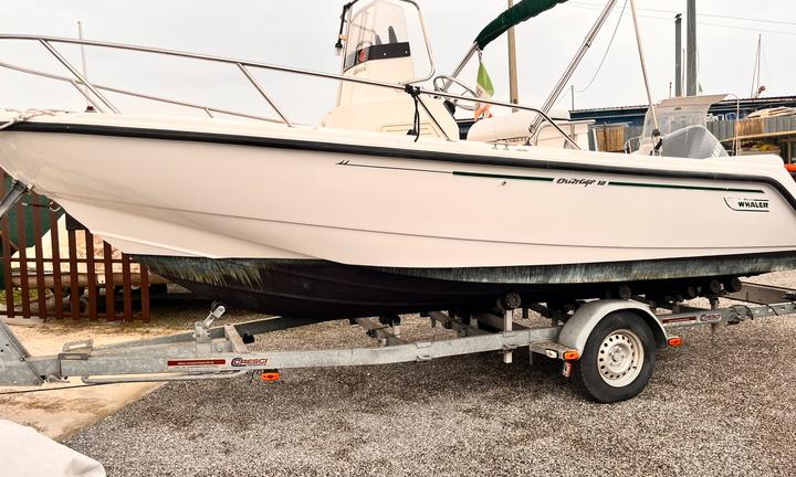 Boston whaler
