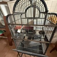 Gabbia x pappagalli